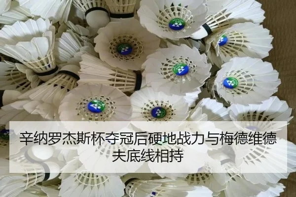 xin-na-luo-jie-si-bei-duo-guan-hou-ying-di-zhan-li-yu-mei-de-wei-de-fu-di-xian-xiang-chi-2-548.jpg