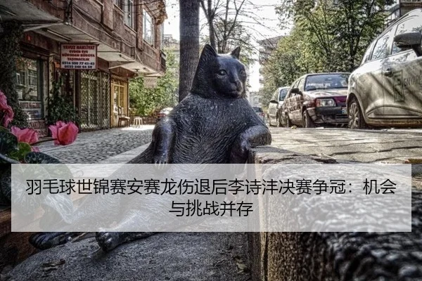 yu-mao-qiu-shi-jin-sai-an-sai-long-shang-tui-hou-li-shi-feng-jue-sai-zheng-guan-ji-hui-yu-tiao-zhan-bing-cun-3-312.jpg